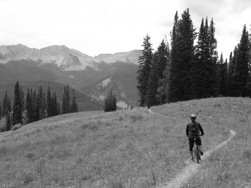 A person riding a mountain bike along a winding trail through a grassy area, surrounded by tall pine trees and mountains in the background. The image is in black and white, adding a dramatic effect to the natural landscape. Dyke mountain bike trail.