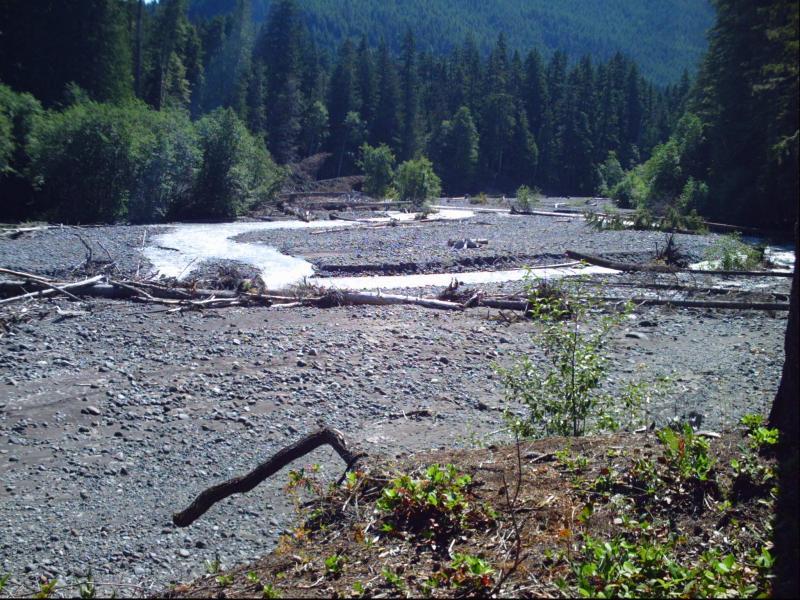 A tranquil scene of a river winding through a rocky landscape surrounded by lush green forests and mountains. Fallen logs and sparse vegetation line the riverbanks, creating a natural, serene habitat. The sunlight highlights the flowing water and the textures of the stones. Skookum Flats mountain bike trail.