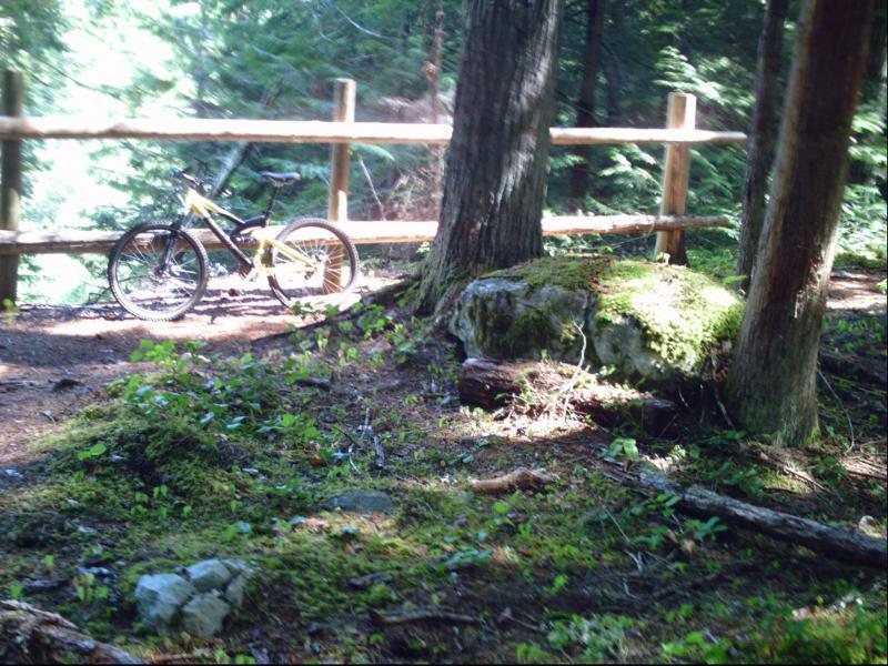 A mountain bike positioned on a forest trail, surrounded by lush greenery, moss-covered rocks, and tall trees, with a wooden fence in the background. The scene captures a serene outdoor environment suitable for biking. Skookum Flats mountain bike trail.