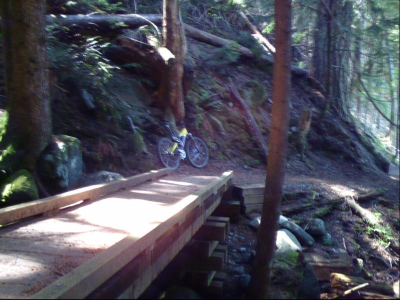 A mountain bike resting on a wooden bridge surrounded by a dense forest with tall trees and moss-covered rocks. Sunlight filters through the foliage, illuminating the pathway. Skookum Flats mountain bike trail.