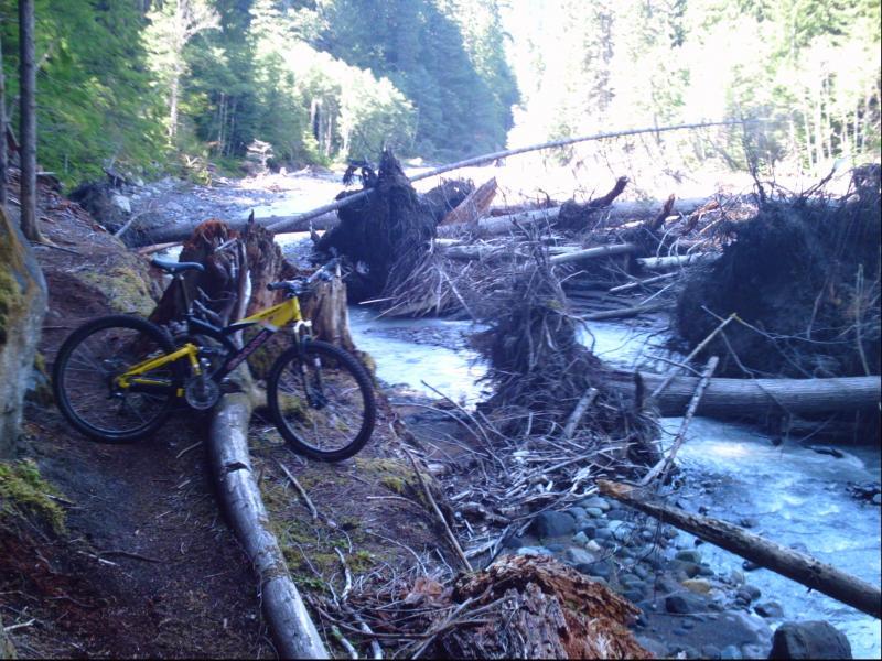 A mountain bike resting on a fallen log beside a river, surrounded by scattered logs and debris from nearby trees. The scene features lush green trees in the background and sunlight filtering through, creating a serene outdoor atmosphere. Skookum Flats mountain bike trail.