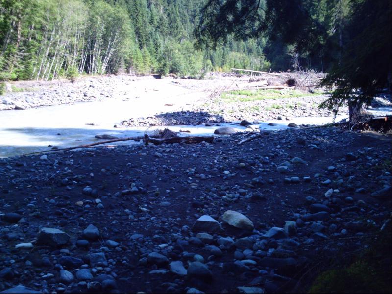 A serene river scene featuring smooth stones along the riverbank, with lush green trees lining the water's edge. The river flows gently, reflecting the sunlight, while scattered branches and a mix of pebbles enhance the natural landscape. Skookum Flats mountain bike trail.