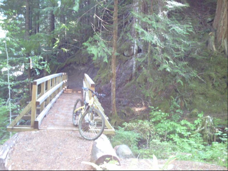 A wooden footbridge crossing a small ravine, surrounded by lush green foliage and trees, with a parked mountain bike on the bridge. Skookum Flats mountain bike trail.