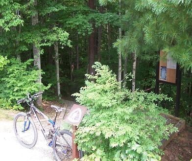 A bicycle parked next to a trailhead sign surrounded by dense greenery in a forested area. The trailhead sign provides information about the trail, while lush plants and trees form a natural backdrop. Overmountain Victory Trail mountain bike trail.