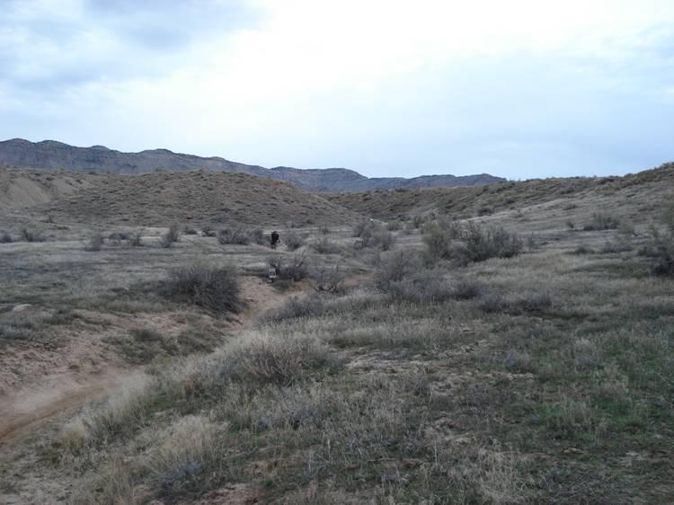 A wide, open landscape featuring rolling hills and sparse vegetation under a cloudy sky. A person can be seen in the distance, walking along a dirt path through the grassy area. The scene conveys a sense of tranquility in a natural setting. Kessel Run mountain bike trail.