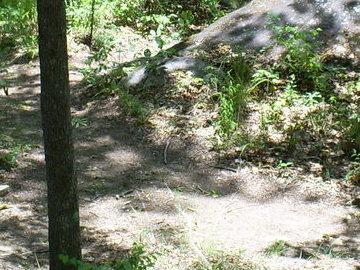 A forested area with a large rock, surrounded by green foliage and sunlight filtering through the trees. The ground is covered in light brown dirt and scattered with small plants and grass. Flat Rock Park mountain bike trail.