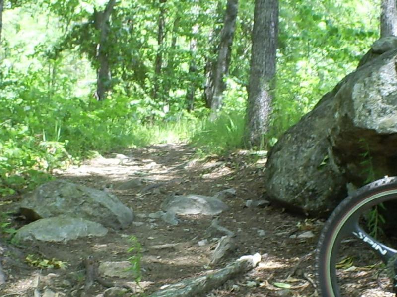 A winding dirt path through a lush green forest, with rocks and tree roots visible along the trail. A bicycle wheel is partially visible in the foreground, suggesting an outdoor biking or hiking activity. Flat Rock Park mountain bike trail.