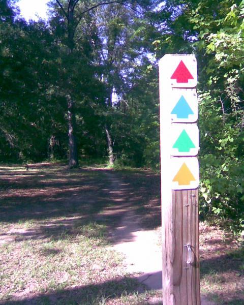 Signpost with four colored arrows (red, blue, green, and yellow) indicating different trail directions in a wooded area. The path is visible leading into the greenery. Flat Rock Park mountain bike trail.