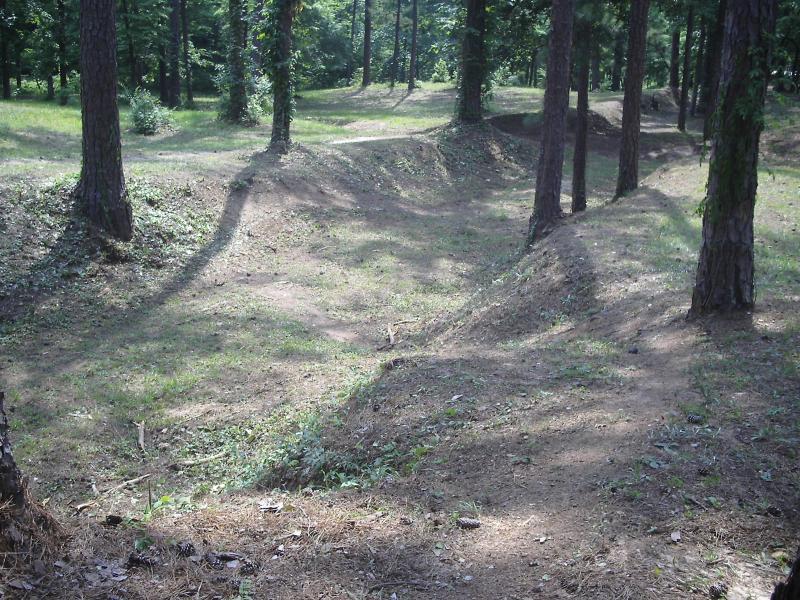 A clear and sunny forest landscape featuring dirt bike trails winding through trees. The trails appear well-maintained, flanked by greenery and underbrush, with sunlight casting shadows on the ground. Flat Rock Park mountain bike trail.