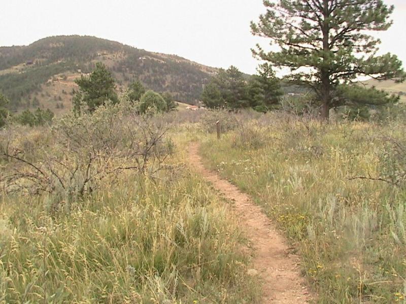 A winding dirt path leads through a grassy field with sparse shrubs and trees, set against a backdrop of rolling hills and scattered pine trees under a cloudy sky. Pinewood Reservoir mountain bike trail.