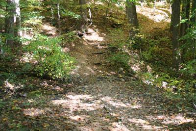 A dirt path winding through a wooded area, surrounded by trees with green leaves and some fallen leaves on the ground, indicating a natural forest setting. The sunlight filters through the branches, creating dappled light on the trail. Black Hill Regional Park mountain bike trail.