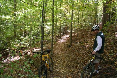 A mountain biker stands next to two bicycles on a wooded trail, surrounded by tall trees with green leaves and a carpet of fallen autumn leaves. The path winds through the forest, indicating a peaceful outdoor setting for biking. Black Hill Regional Park mountain bike trail.
