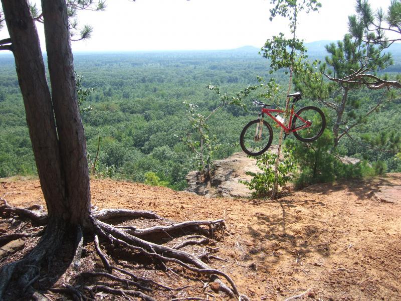 A red mountain bike suspended in mid-air near a rocky cliff, surrounded by trees, with a lush green forest stretching out below. The scene captures a bright, sunny day with a clear view of distant hills. Levis Mounds mountain bike trail.