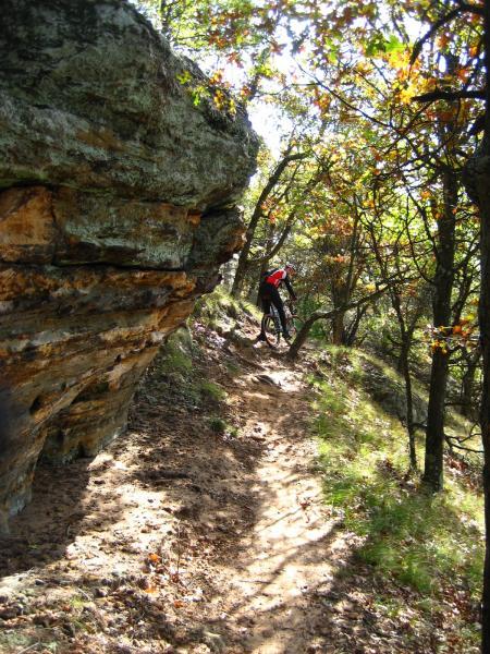 A mountain biker navigating a narrow dirt trail surrounded by trees and a rock formation, with sunlight filtering through the foliage. Levis Mounds mountain bike trail.