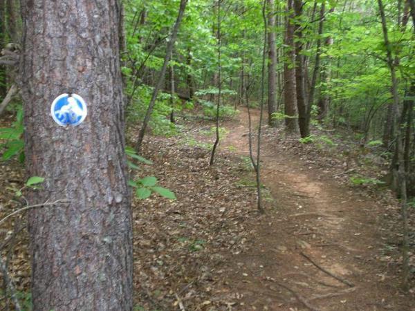 A winding dirt path leads through a lush green forest, bordered by trees. A blue and white trail marker is affixed to a tree on the left side of the image, guiding hikers along the trail. The scene is tranquil and inviting, showcasing the vibrant foliage of summer. Riverbend Park mountain bike trail.