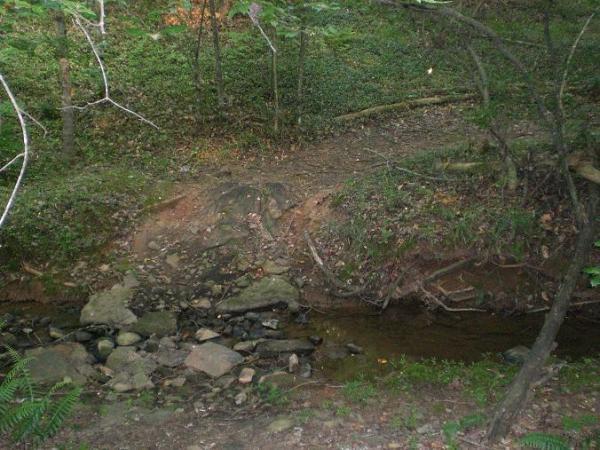 A peaceful forest scene featuring a shallow creek surrounded by rocky terrain and lush greenery. The bank of the creek rises on one side, with sparse trees and underbrush framing the area. Sunlight filters through the leaves, creating a serene atmosphere. Riverbend Park mountain bike trail.