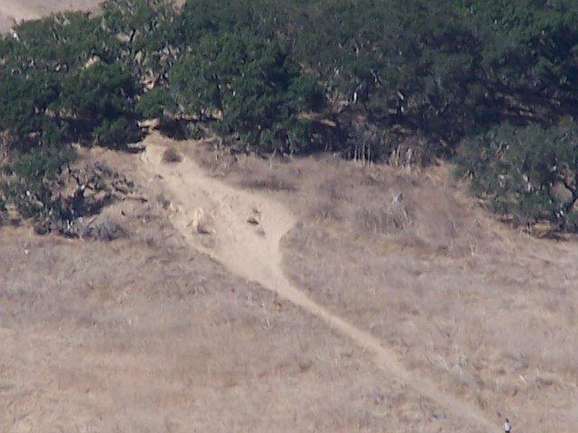 A natural landscape featuring a dry, dusty pathway winding through a grassy, sparse area with scattered trees in the background. The scene captures a remote outdoor environment, indicative of a hiking or walking trail. Cerro San Luis mountain bike trail.