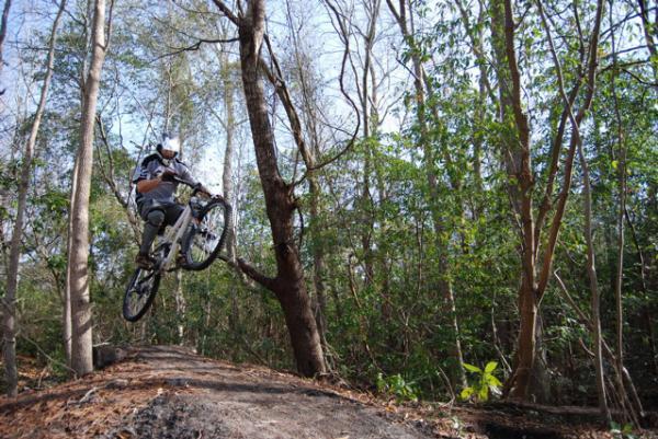 A mountain biker is performing a jump on a dirt trail surrounded by trees in a natural forest setting. The rider is airborne above the ground, showcasing a dynamic biking maneuver, while the lush greenery and sunlight filter through the trees in the background. Blue Clay Bike Park mountain bike trail.