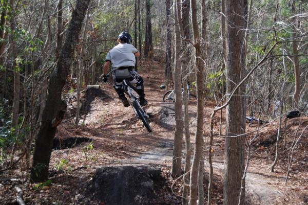 A mountain biker leaping over a small jump on a wooded trail, surrounded by trees and fallen leaves. The biker is wearing a helmet and protective gear, showcasing an action shot of off-road cycling. Blue Clay Bike Park mountain bike trail.