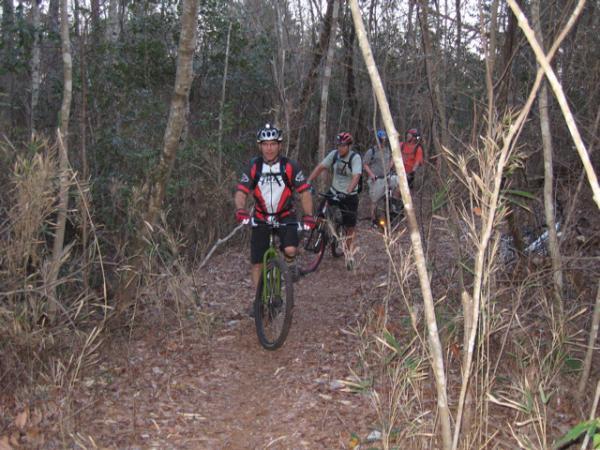 A group of mountain bikers navigating a narrow dirt trail through a wooded area, surrounded by tall trees and foliage. One rider is in the foreground, wearing a helmet and cycling gear, while others trail behind. The scene captures the outdoor adventure and ruggedness of mountain biking. Blue Clay Bike Park mountain bike trail.