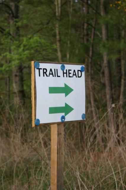 A wooden sign with the text "TRAIL HEAD" at the top and green arrows pointing left and right, surrounded by trees and grass. Blue Clay Bike Park mountain bike trail.