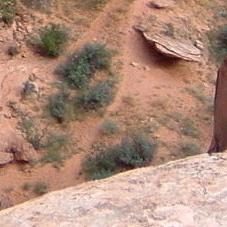 A close-up view of a rocky terrain featuring sandy ground and sparse vegetation, including small shrubs and bushes, with a steep rock ledge in the foreground. Gemini Bridges mountain bike trail.
