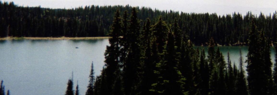 A serene landscape featuring a calm lake surrounded by dense evergreen trees. The water reflects the greenery and the overcast sky, creating a peaceful natural scene. The shoreline is visible in the background, merging seamlessly with the forested area. Lower Crags Crest Trail mountain bike trail.