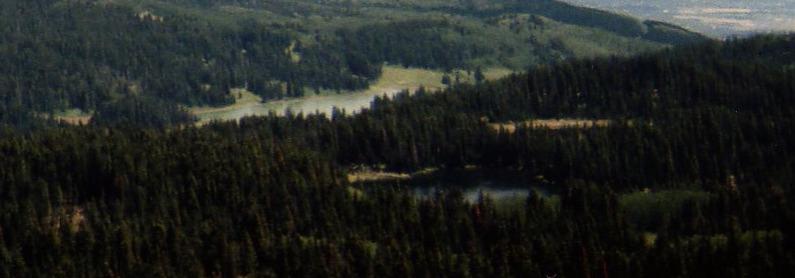 A scenic view of a forested landscape featuring rolling hills and multiple small lakes, showcasing a mix of evergreen trees and open grassy areas under a clear sky. Lower Crags Crest Trail mountain bike trail.