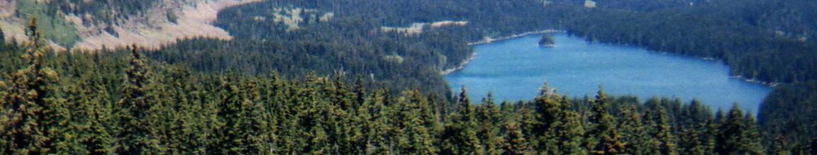 A scenic landscape featuring a serene blue lake surrounded by dense evergreen forests and rolling hills in the background, under a clear sky. Lower Crags Crest Trail mountain bike trail.