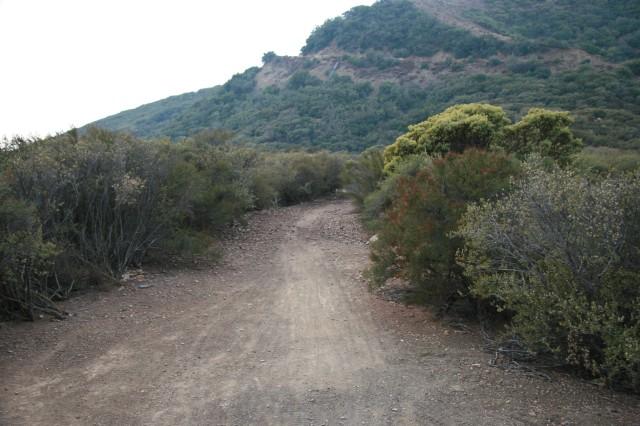 A dirt path winding through a lush, green landscape surrounded by shrubs and rolling hills in the background. The scene depicts a tranquil outdoor setting, ideal for hiking or exploring nature. Tunnel Trail mountain bike trail.