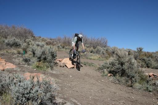 A mountain biker navigating a dirt trail in a rocky, brush-filled landscape under a clear blue sky. The biker is mid-jump, showcasing an action-packed moment in outdoor cycling. Trailside Loop And Skills Park mountain bike trail.