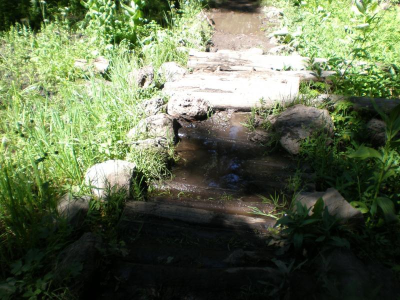 A rustic path made of wooden logs leads through lush green grass and vegetation, with patches of water visible along the trail, suggesting a natural, outdoor setting. West Bench Trail mountain bike trail.