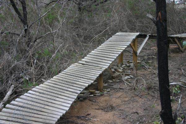 Wooden pathway elevated on wooden supports, surrounded by dense, overgrown brush and debris, leading through a natural area. You Yangs Regional Park mountain bike trail.