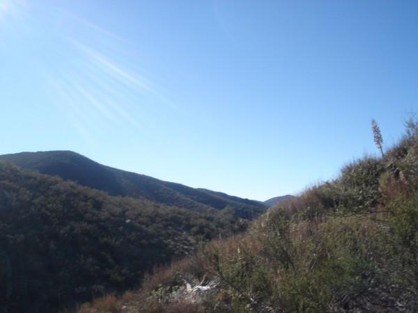 A panoramic view of rolling hills under a clear blue sky, with sparse vegetation and shrubs in the foreground. The sunlight creates a bright glare on the left side of the image, enhancing the serene and tranquil atmosphere of the landscape. Noble Canyon mountain bike trail.