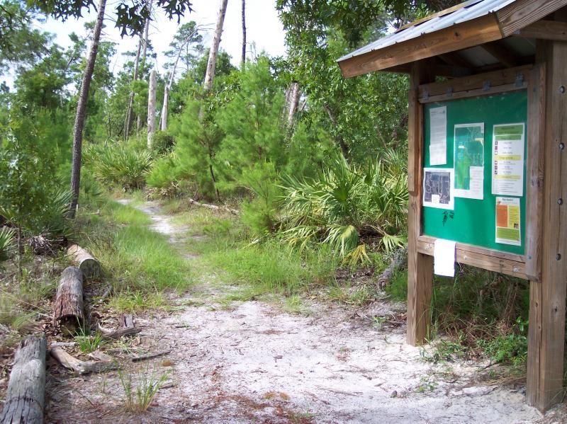 A narrow walking path leading through a lush green forest, with a wooden informational kiosk on the right displaying maps and signage. The path is lined with grass and scattered logs, surrounded by tall trees and vegetation. Turkey Creek mountain bike trail.