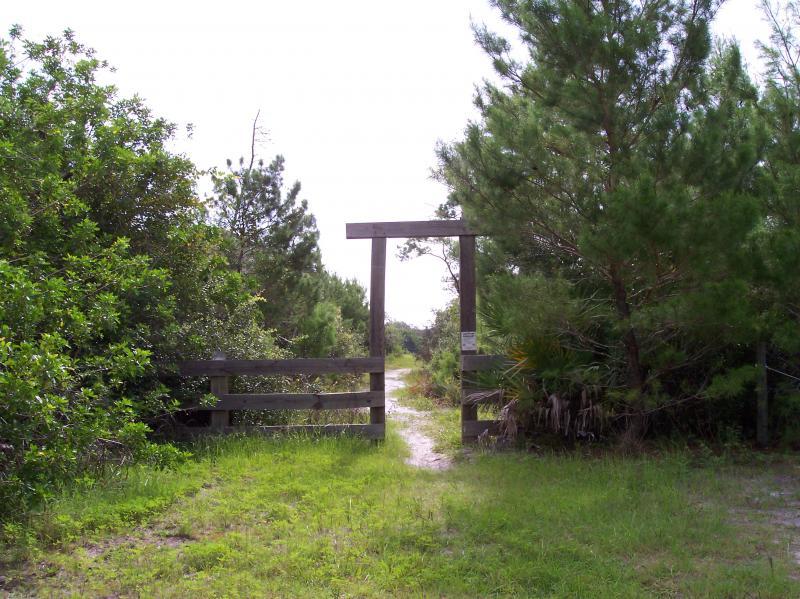 A wooden gate opening into a natural path surrounded by lush greenery and trees, leading into a tranquil outdoor area. Turkey Creek mountain bike trail.