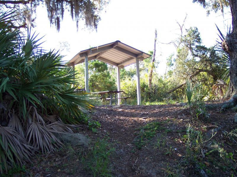 A shaded picnic shelter surrounded by lush greenery, including palm fronds and trees, with a dirt path leading up to it. The structure has a pitched roof supported by white columns and features a picnic table inside. The scene is bright and inviting, suggesting a peaceful outdoor setting. Turkey Creek mountain bike trail.