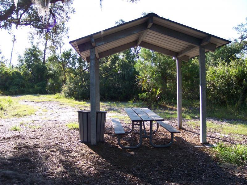 A picnic table under a shelter surrounded by greenery, with a trash bin nearby. The area is sunny and spacious, featuring a dirt path leading into a natural setting. Turkey Creek mountain bike trail.