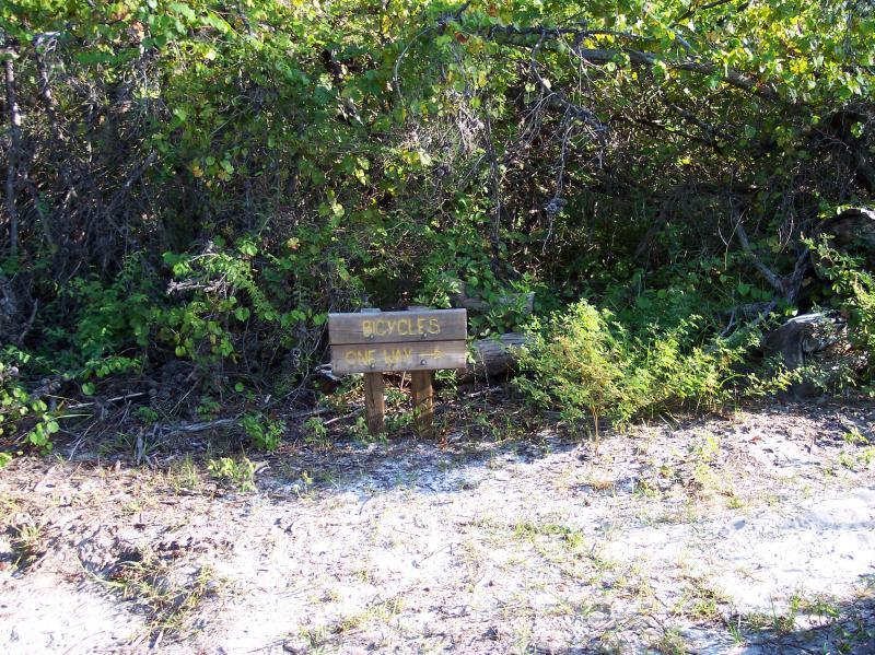 A wooden sign that reads "Bicycles One Way" is positioned on a dirt path surrounded by lush greenery and foliage. The sign is partially obscured by plants, indicating a designated route for bicycles. Turkey Creek mountain bike trail.