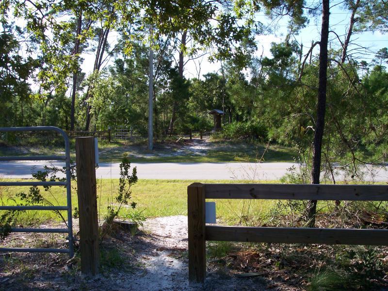 A view from a wooden fence gate opening to a quiet road bordered by trees and shrubs. The scene includes a clear sky and a path leading into the greenery, suggesting a peaceful, natural setting. Turkey Creek mountain bike trail.