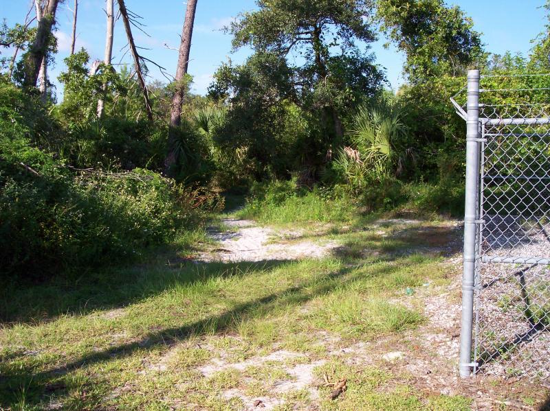 A clearing in a lush, green area, showing a sandy path leading into dense foliage and trees. A chain-link fence is visible on the right side of the image, partially enclosing the area. Sunlight filters through the trees, casting shadows on the ground. Turkey Creek mountain bike trail.