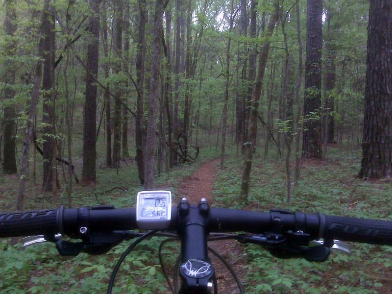 Alt tag: "View from the handlebars of a mountain bike on a narrow dirt path winding through a lush green forest with tall trees and dense foliage." The Ridgeland Trails mountain bike trail.