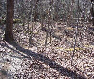 A wooded path in a forest during early spring, with bare trees and fallen leaves covering the ground. Sunlight casts long shadows, highlighting the contours of the terrain and the thin dirt trail winding through the landscape. Sherman Branch Park Mtb Trail mountain bike trail.