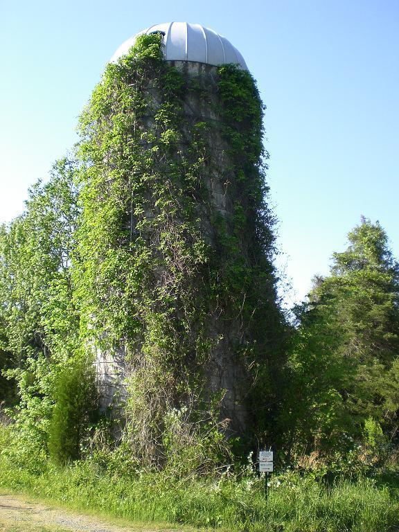 A weathered concrete silo covered in lush green vines, standing alongside a gravel path, surrounded by trees and foliage under a clear blue sky. A sign is visible at the base of the silo. Sherman Branch Park Mtb Trail mountain bike trail.