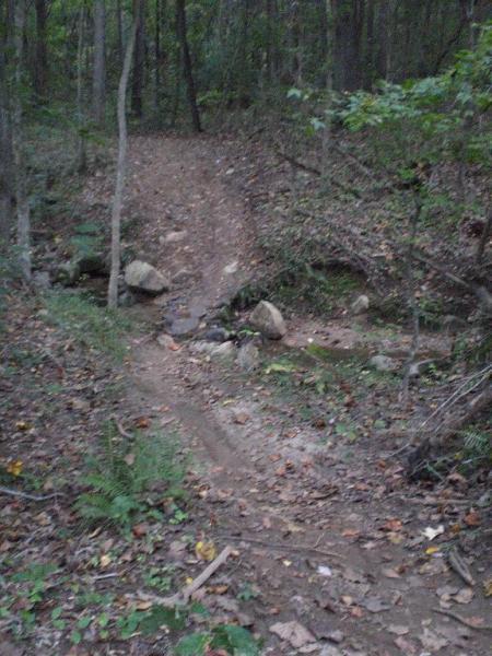 A dirt path winding through a forest, with rocks and fallen leaves scattered along the ground. A small stream can be seen at the base of the path, surrounded by greenery and trees. The scene is shaded by the forest canopy, creating a natural, earthy atmosphere. Sherman Branch Park Mtb Trail mountain bike trail.