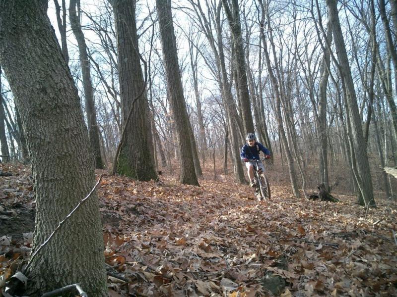 A mountain biker navigating a wooded trail covered with fallen leaves, surrounded by tall, bare trees in a serene natural setting. Greensfelder Park mountain bike trail.