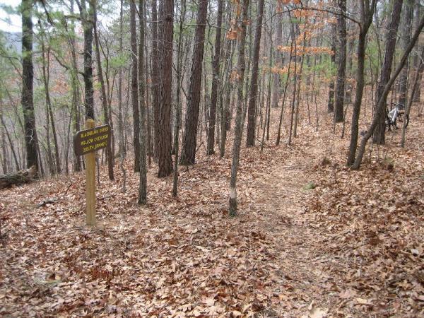 A forested trail with a signpost indicating directions, surrounded by tall trees and a carpet of fallen leaves. The path winds through the woods, suggesting a serene outdoor environment. Bashore Ridge Loop mountain bike trail.