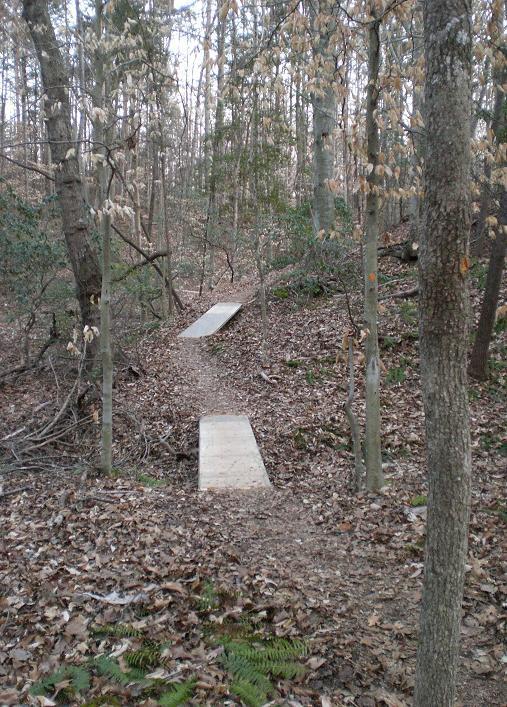 A narrow dirt path winding through a forest with trees on either side, featuring two wooden ramps positioned on either side of a small dip in the ground, surrounded by fallen leaves and small green plants. George Poston Park mountain bike trail.