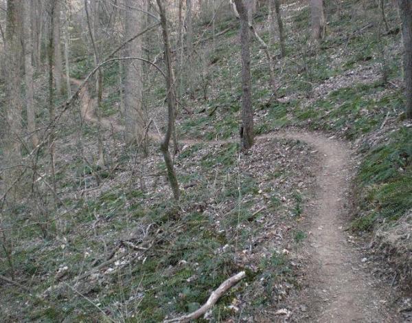 A winding dirt path through a sparsely wooded area, surrounded by green foliage and scattered fallen branches. The trail curves gently, leading deeper into the forest. George Poston Park mountain bike trail.