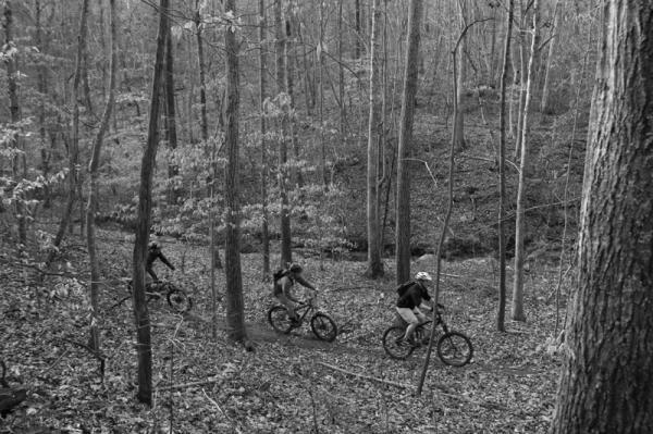 Three mountain bikers navigating a wooded trail in a black and white setting, surrounded by tall trees and scattered leaves on the ground. George Poston Park mountain bike trail.